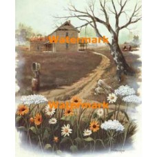 Home  - XBSC3993  -  PRINT
