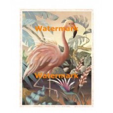 High Stepping Flamingo  - XAR4215  -  PRINT