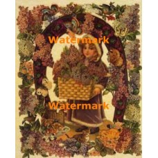 Bouquet of Friends  - XAR4628  -  PRINT