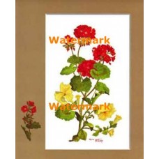 Geranium Spray  - XKFL4173  -  PRINT