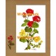 Geranium Spray  - XKFL4173  -  PRINT