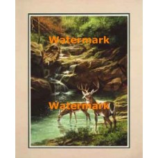 Taking A Drink  - #XKFL4730  -  PRINT