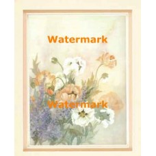 Peach And White Assortment  -  #XKFL4930  -  PRINT