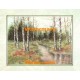 Birch Stream  - XKFL4938  -  PRINT
