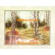 Birch Pond  - XKFL4939  -  PRINT