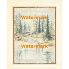 Evergreen Lake  - XKFL4946  -  PRINT