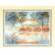 Rustic Riverbed  - #XKFL4957  -  PRINT