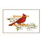 Cardinal  - #XKBD4553  -  PRINT