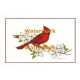 Cardinal  - XKBD4553  -  PRINT