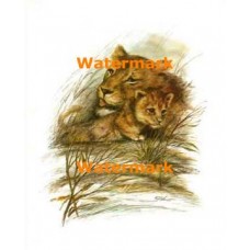 Lioness and Cub  - #XKL4663  -  PRINT