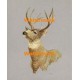 Black-Tailed Deer  - XKL4672  -  PRINT