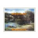 Reflections  - #XBSC4066  -  PRINT