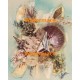 Seashells IV  - #XAR4406  -  PRINT