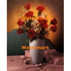 Rose Painted Pearls I  - #XAR4537  -  PRINT