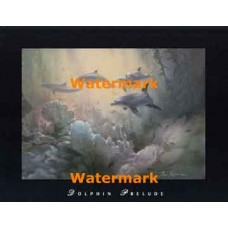 Dolphin Prelude  - XAR4817  -  PRINT