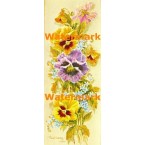 Pansies  - XS126  -  PRINT 