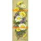 Daisies  - XS301  -  PRINT 
