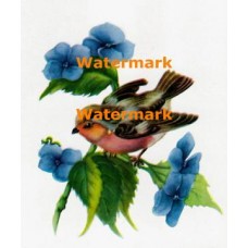 Bird & Blue Flowers  - XD1511  -  PRINT
