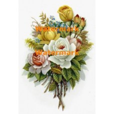 Rose Bouquet  - XD2657A  -  PRINT