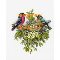 Springtime  - XD3383  -  PRINT