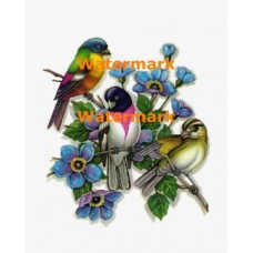 Springtime  - XD3384  -  PRINT