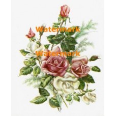 Rose Bouquet  - XD4782  -  PRINT