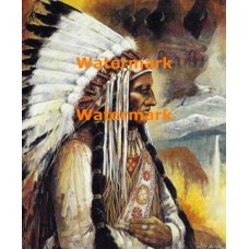 Chief  - XD51760  -  PRINT