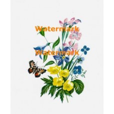 Delicate Flowers  - XD6766  -  PRINT