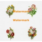 Bouquets 4 Up  - XD6767  -  PRINT