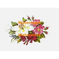 Lily  - XB729A  -  PRINT