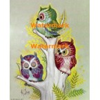 Colorful Owls  - XD7693  -  PRINT