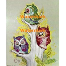 Colorful Owls  - XD7693  -  PRINT