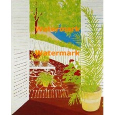 Terrace Plants  - XD8504  -  PRINT