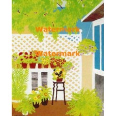 Terrace Plants  - XD8505  -  PRINT