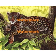 Leopard  - XBAN461  -  PRINT