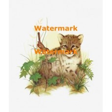 Animal  - XBAN514  -  PRINT