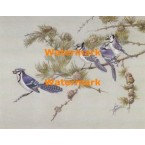 Blue Jays  - XBBI-1199  -  PRINT