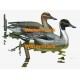 Ducks  - XBBI-438  -  PRINT