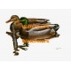 Ducks  - XBBI-439  -  PRINT