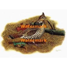 Bird  - XBBI-452  -  PRINT