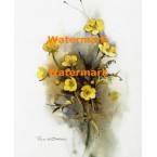 Flower  - XBFL1976  -  PRINT