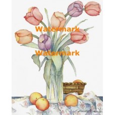 Tulips in Jar  - XBFL2160  -  PRINT