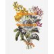 Flowers  - XBFL69  -  PRINT