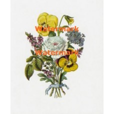 Bouquet  - XBFL74  -  PRINT