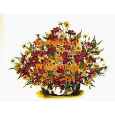 Flowers  - XBFL825  -  PRINT