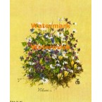 Violacae  - XBFL854  -  PRINT