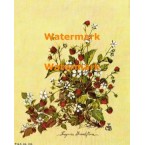 Fragaria Grandiflora  - XBFL856  -  PRINT