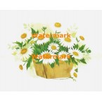 Daisies In Basket  - XBFL960  -  PRINT