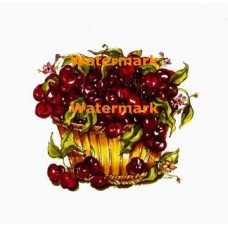 Cherries  - XBFR160  -  PRINT