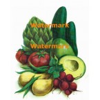 Garden Medley  - XBFR199  -  PRINT